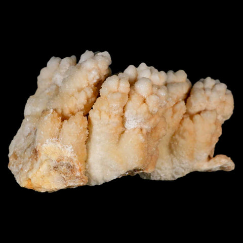 4.2" Botryoidal Aragonite Cave Calcite Crystal Cluster Mineral Specimen Morocco - Fossil Age Minerals