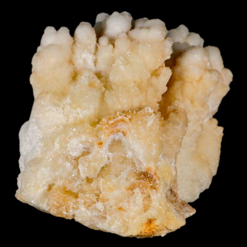 4.2" Botryoidal Aragonite Cave Calcite Crystal Cluster Mineral Specimen Morocco - Fossil Age Minerals
