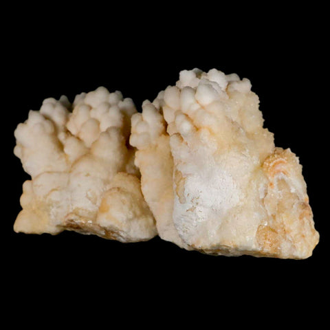 4.2" Botryoidal Aragonite Cave Calcite Crystal Cluster Mineral Specimen Morocco - Fossil Age Minerals