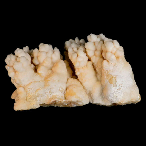 4.2" Botryoidal Aragonite Cave Calcite Crystal Cluster Mineral Specimen Morocco - Fossil Age Minerals