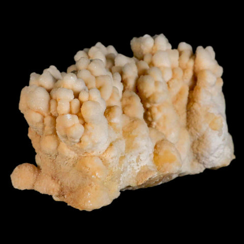 4.2" Botryoidal Aragonite Cave Calcite Crystal Cluster Mineral Specimen Morocco - Fossil Age Minerals