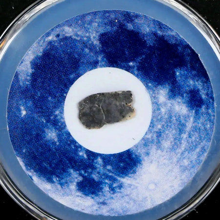 Moon Rock Lunar Meteorite Bechar 003 Algerian Sahara Desert Discovered 2022 COA