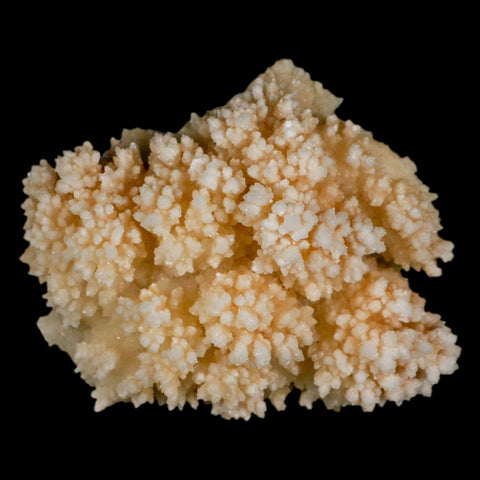 3.7" Botryoidal Aragonite Cave Calcite Crystal Cluster Mineral Specimen Morocco - Fossil Age Minerals