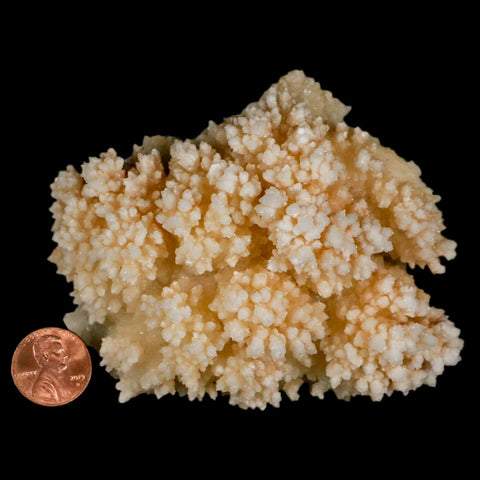 3.7" Botryoidal Aragonite Cave Calcite Crystal Cluster Mineral Specimen Morocco - Fossil Age Minerals