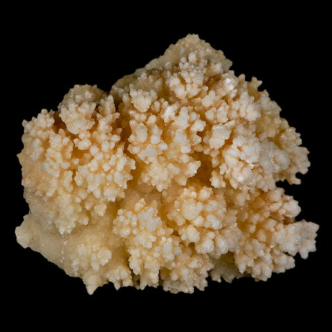 3.7" Botryoidal Aragonite Cave Calcite Crystal Cluster Mineral Specimen Morocco - Fossil Age Minerals