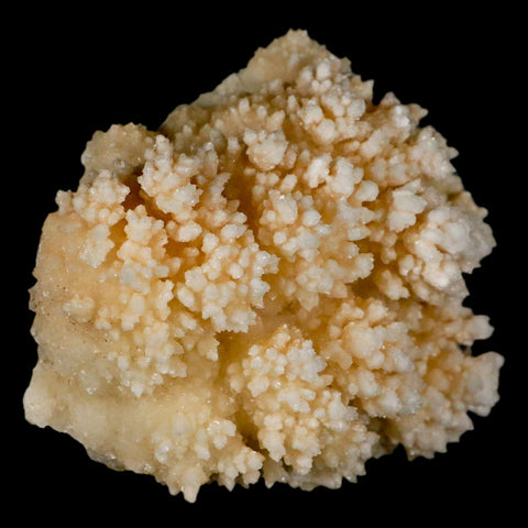 3.7" Botryoidal Aragonite Cave Calcite Crystal Cluster Mineral Specimen Morocco - Fossil Age Minerals