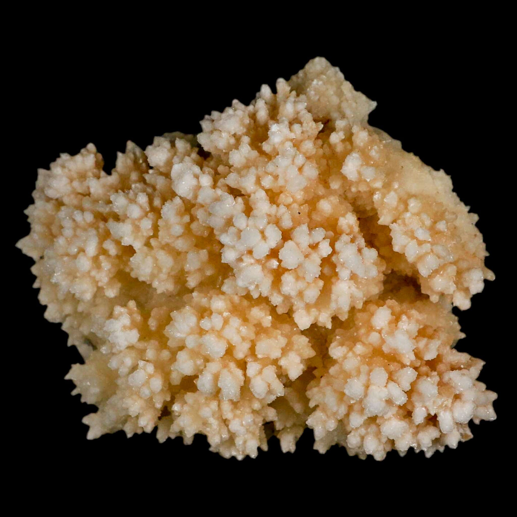 3.7" Botryoidal Aragonite Cave Calcite Crystal Cluster Mineral Specimen Morocco - Fossil Age Minerals