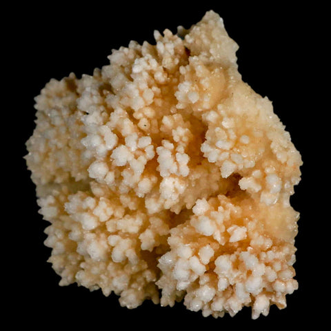3.7" Botryoidal Aragonite Cave Calcite Crystal Cluster Mineral Specimen Morocco - Fossil Age Minerals