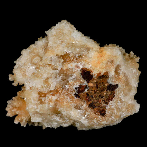 3.7" Botryoidal Aragonite Cave Calcite Crystal Cluster Mineral Specimen Morocco - Fossil Age Minerals