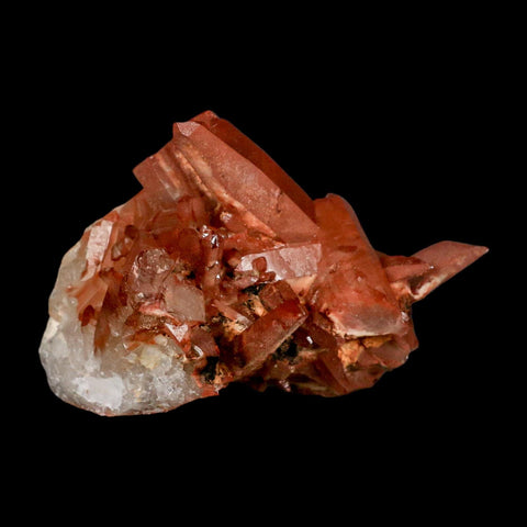 3.4" Natural Red Ferruginous Quartz Crystal Cluster Mineral Specimen Meknes Morocco