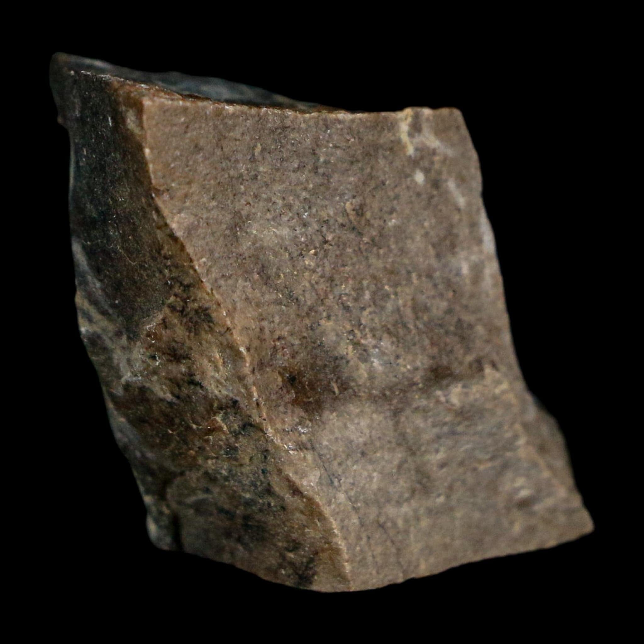 0.9" Tyrannosaurus Rex Fossil Bone Dinosaur Lance Creek Formation Wyoming COA - Fossil Age Minerals