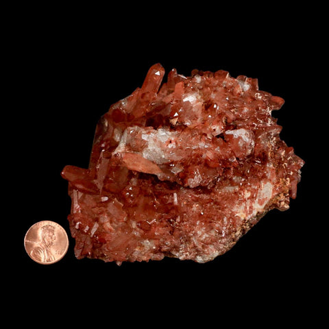 3.9" Natural Red Ferruginous Quartz Crystal Cluster Mineral Specimen Meknes Morocco