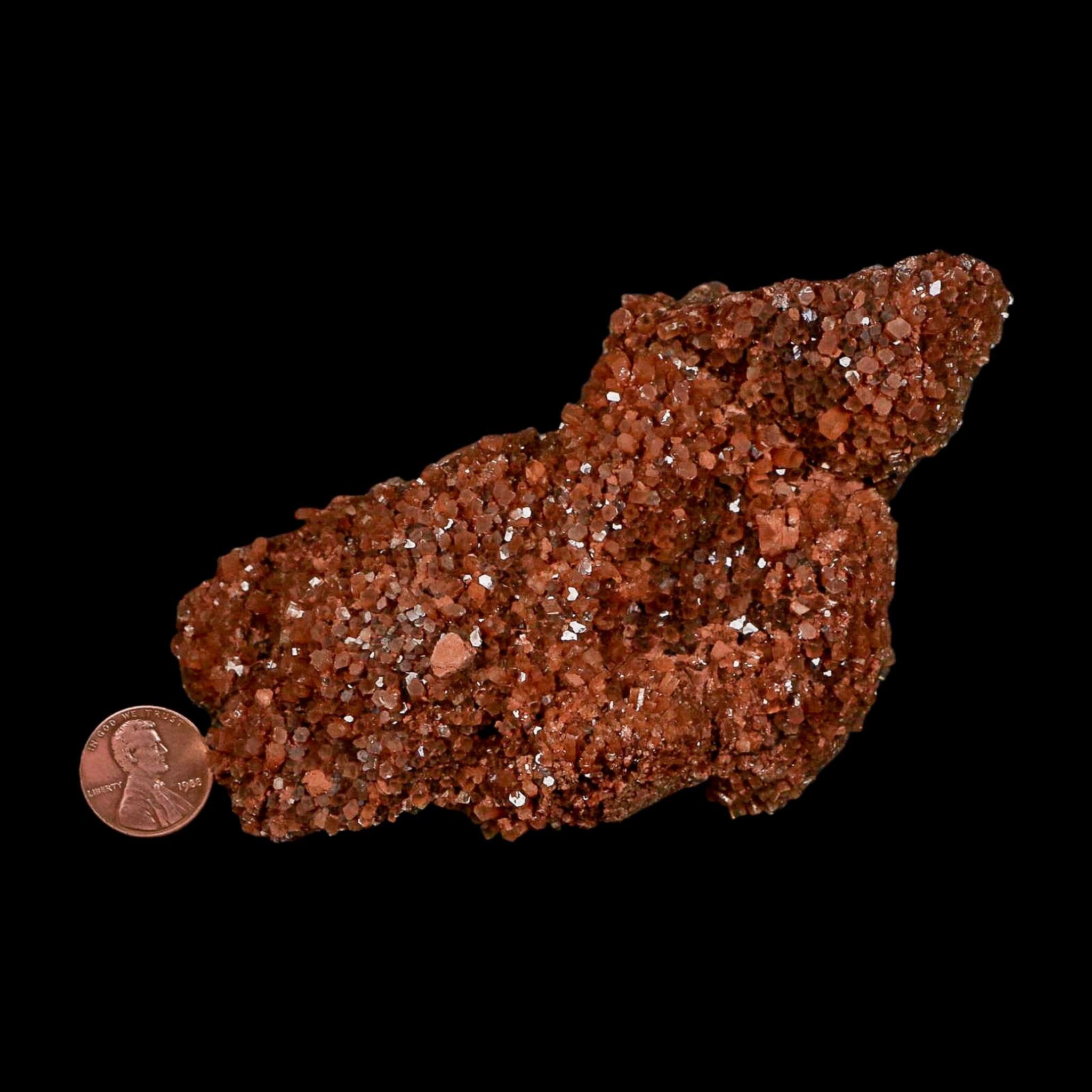 5.1" Aragonite Mineral Red Crystal Cluster Specimen Tazouta Morocco - Fossil Age Minerals