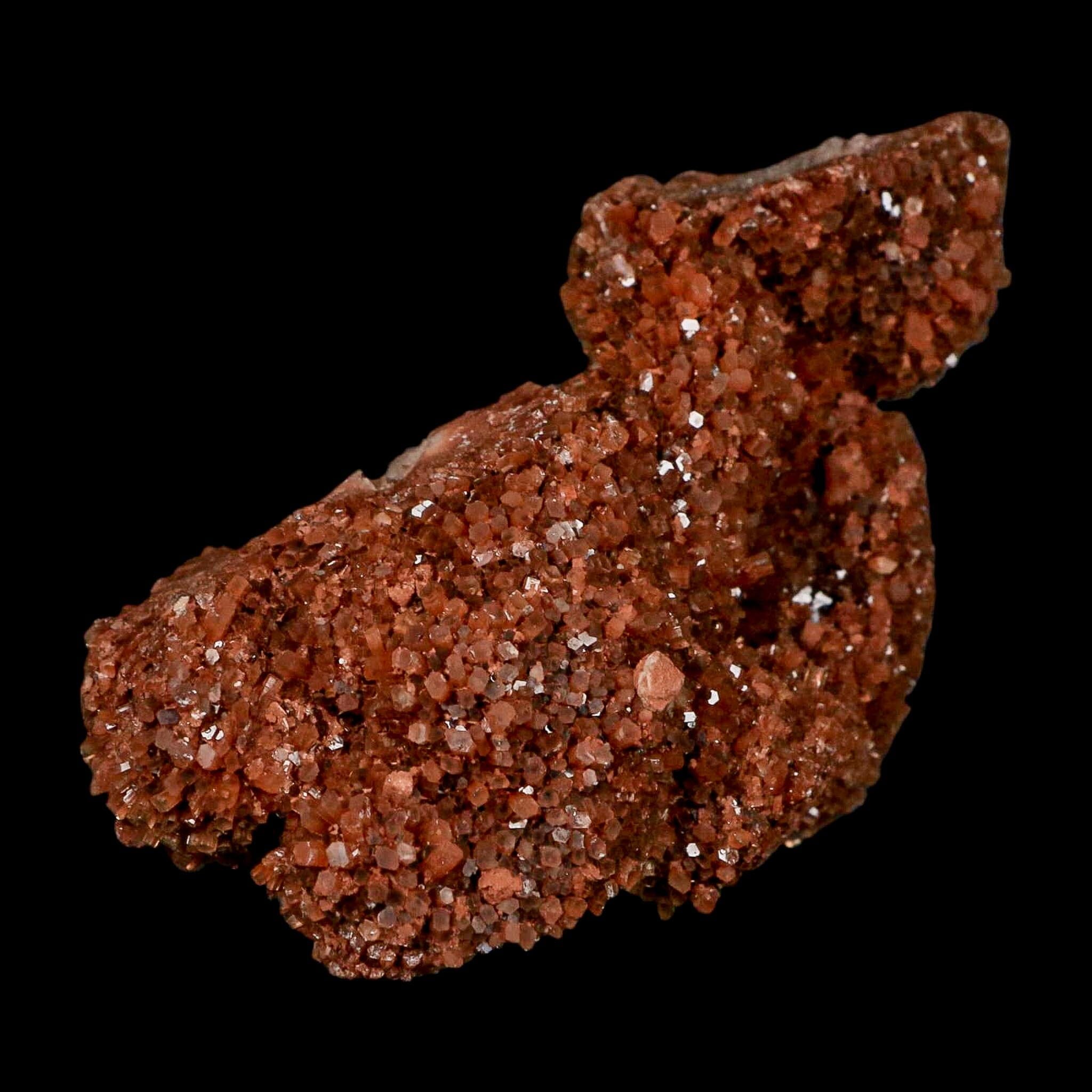 5.1" Aragonite Mineral Red Crystal Cluster Specimen Tazouta Morocco - Fossil Age Minerals