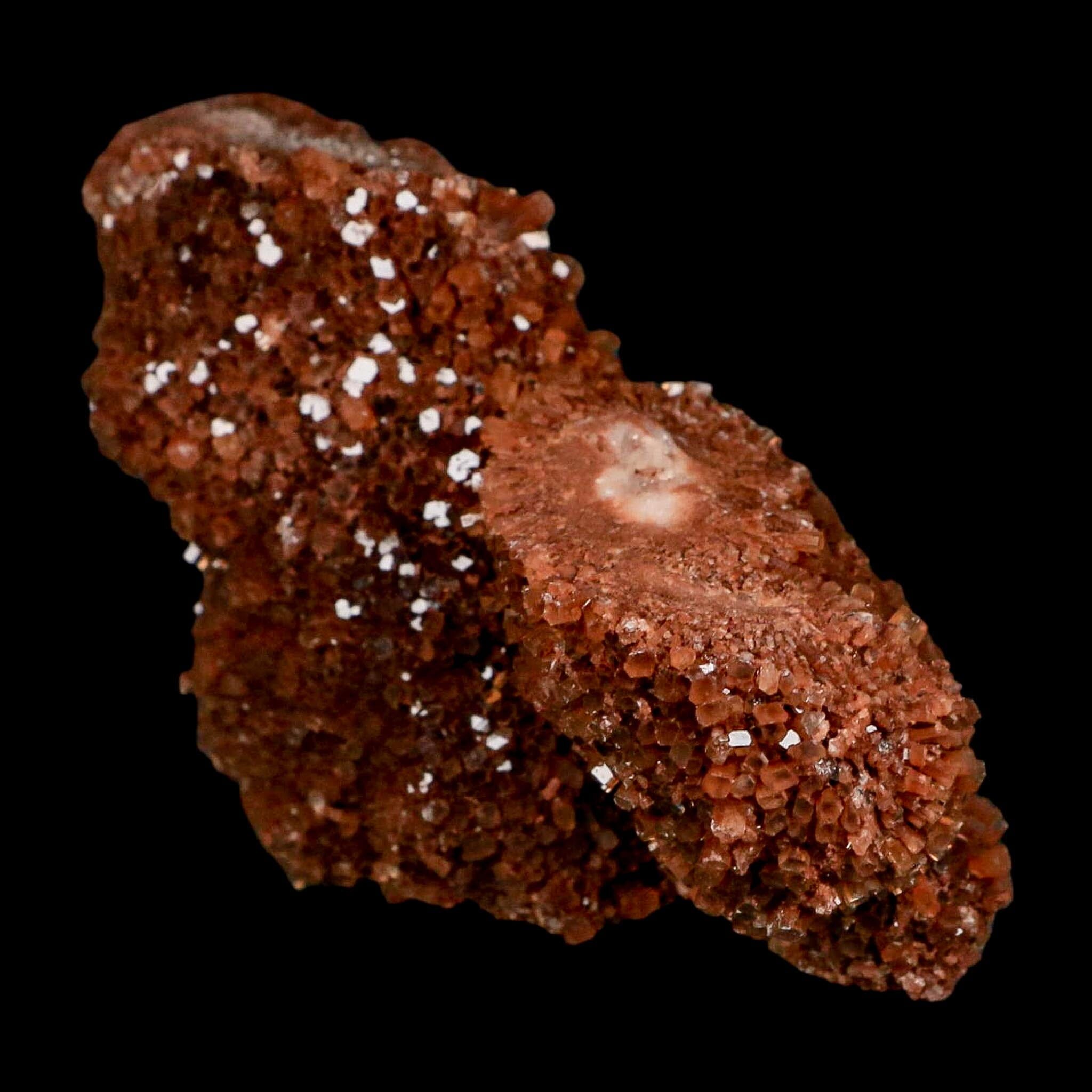 5.1" Aragonite Mineral Red Crystal Cluster Specimen Tazouta Morocco - Fossil Age Minerals