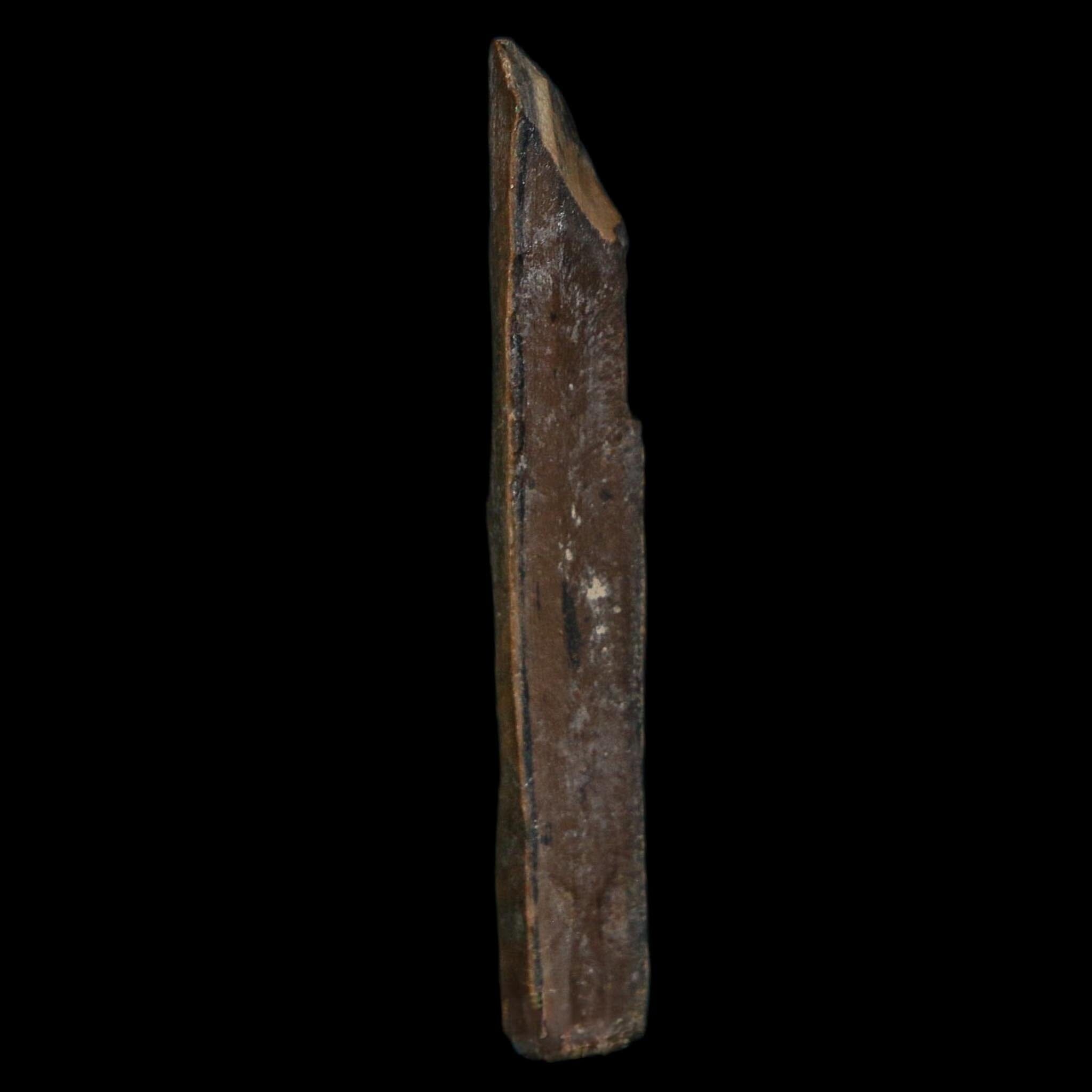 1.8" Tyrannosaurus Rex Fossil Bone Dinosaur Lance Creek Formation Wyoming COA - Fossil Age Minerals