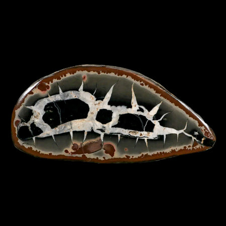 XL 4.1" Septarian Dragon Stone Polished Halves Nodule Mineral Specimen Morocco