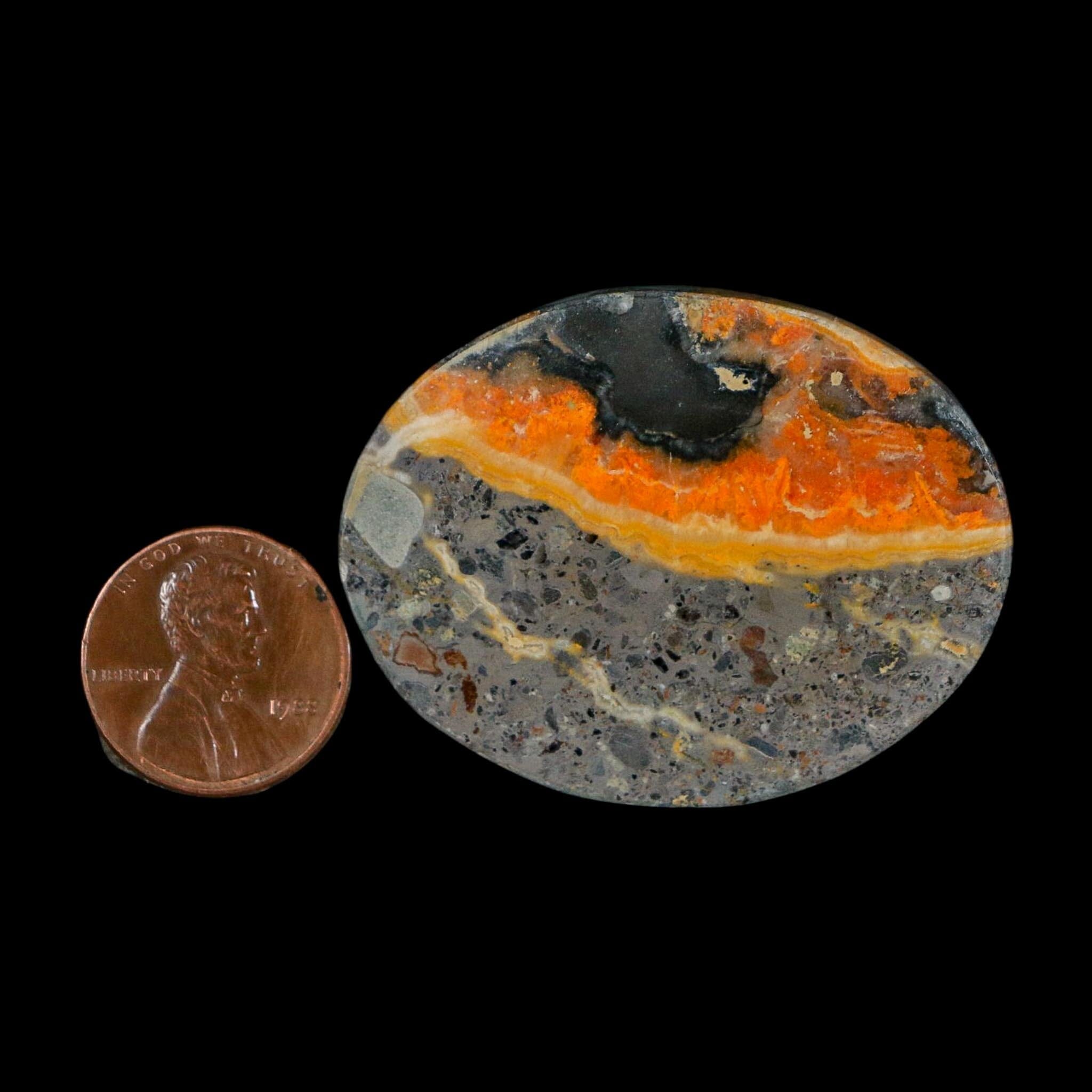 1.8" Bumblebee Jasper Natural Polished Mineral Palm Stone Java Indonesia - Fossil Age Minerals