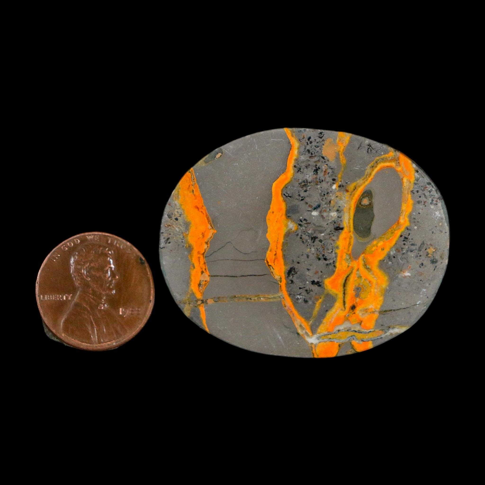 1.8" Bumblebee Jasper Natural Polished Mineral Palm Stone Java Indonesia - Fossil Age Minerals