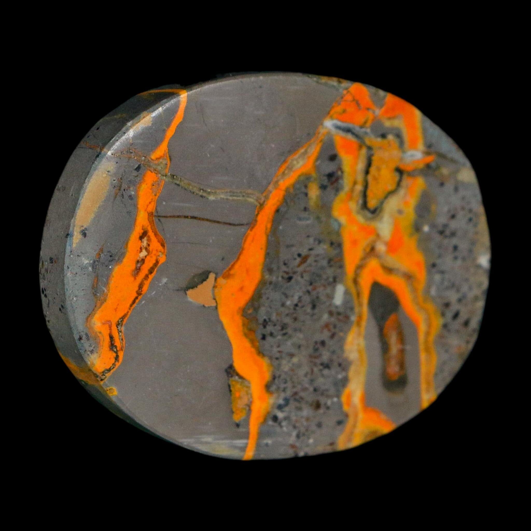 1.8" Bumblebee Jasper Natural Polished Mineral Palm Stone Java Indonesia - Fossil Age Minerals