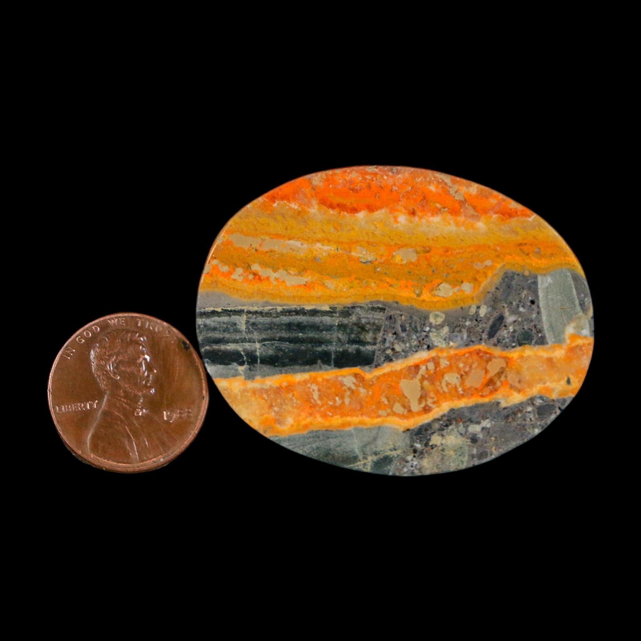 1.8" Bumblebee Jasper Natural Polished Mineral Palm Stone Java Indonesia - Fossil Age Minerals
