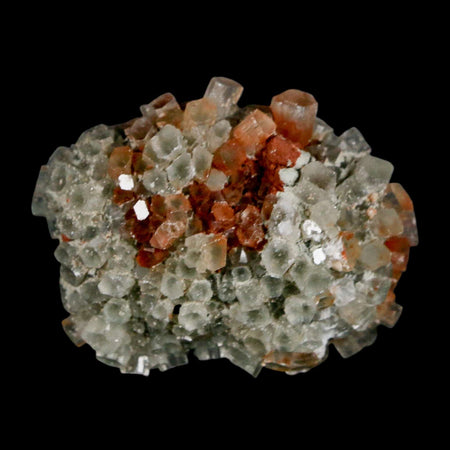 2.1" Aragonite Mineral Two Tone Crystal Cluster Specimen Tazouta Morocco