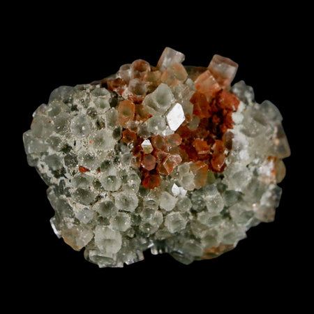 2.1" Aragonite Mineral Two Tone Crystal Cluster Specimen Tazouta Morocco