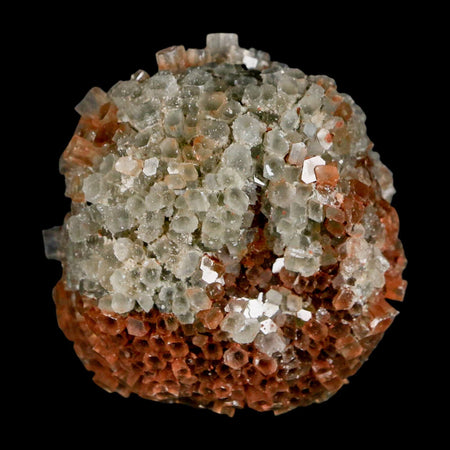 1.9" Aragonite Mineral Two Tone Crystal Cluster Specimen Tazouta Morocco