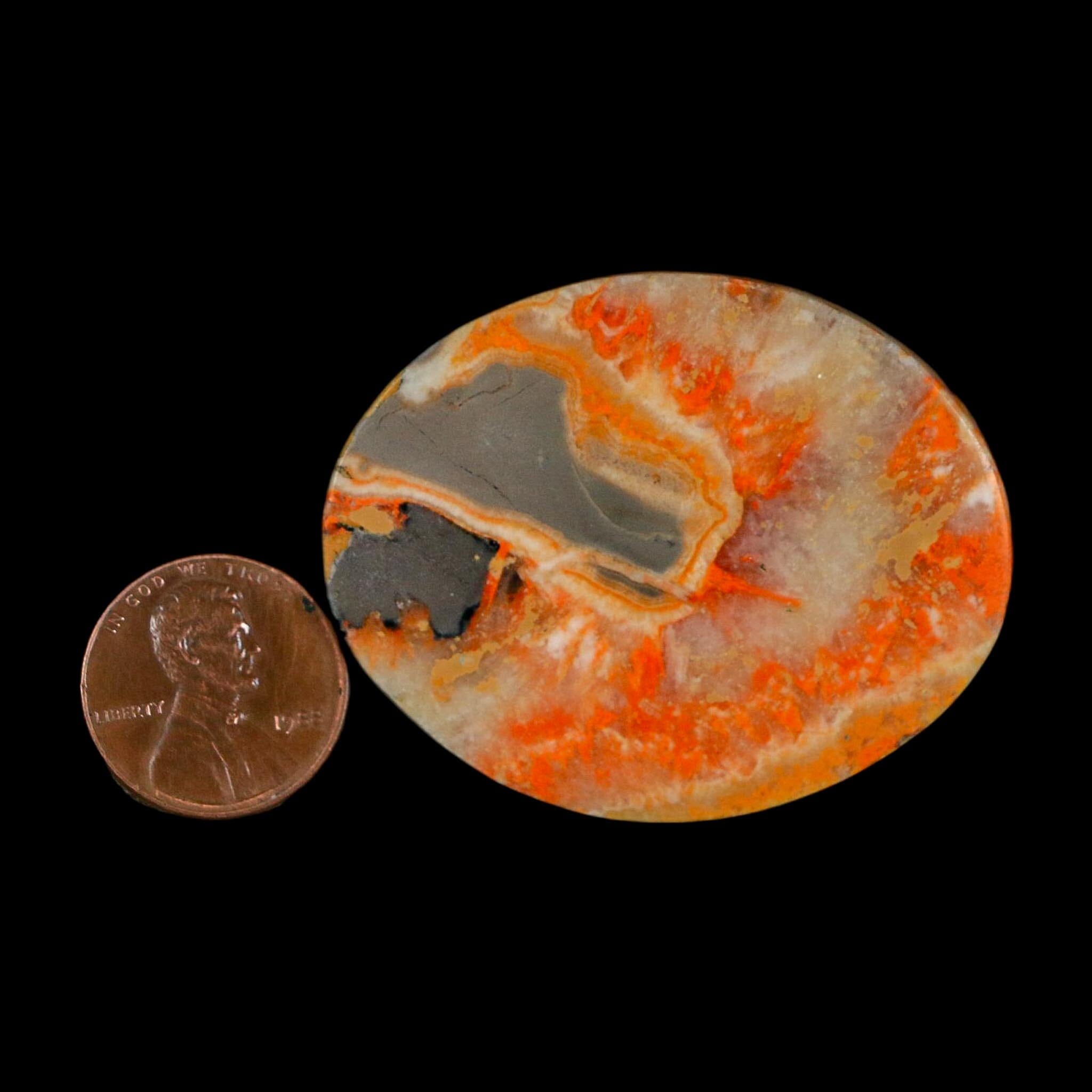 1.9" Bumblebee Jasper Natural Polished Mineral Palm Stone Java Indonesia - Fossil Age Minerals