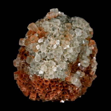 1.9" Aragonite Mineral Two Tone Crystal Cluster Specimen Tazouta Morocco