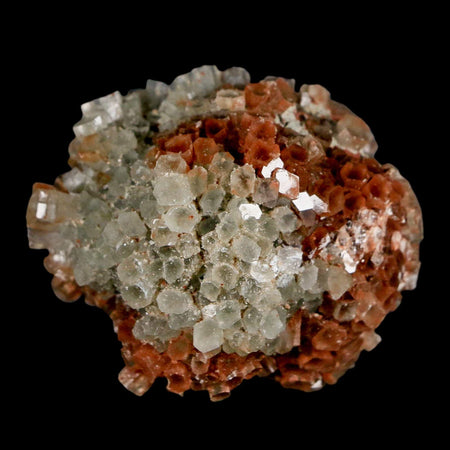 2.1" Aragonite Mineral Two Tone Crystal Cluster Specimen Tazouta Morocco