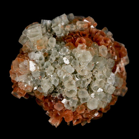 2.1" Aragonite Mineral Two Tone Crystal Cluster Specimen Tazouta Morocco
