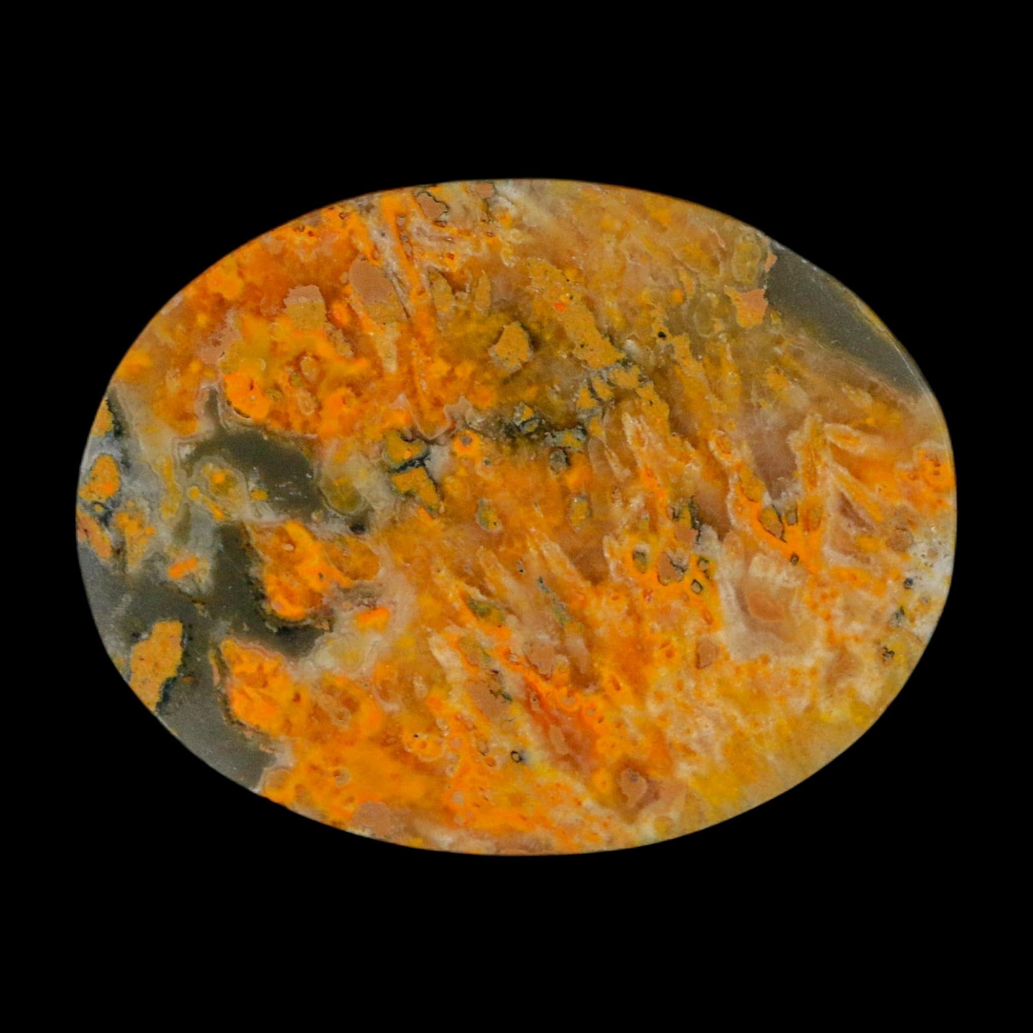 1.9" Bumblebee Jasper Natural Polished Mineral Palm Stone Java Indonesia - Fossil Age Minerals
