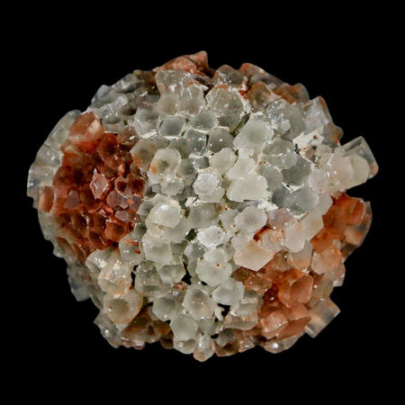 2" Aragonite Mineral Two Tone Crystal Cluster Specimen Tazouta Morocco