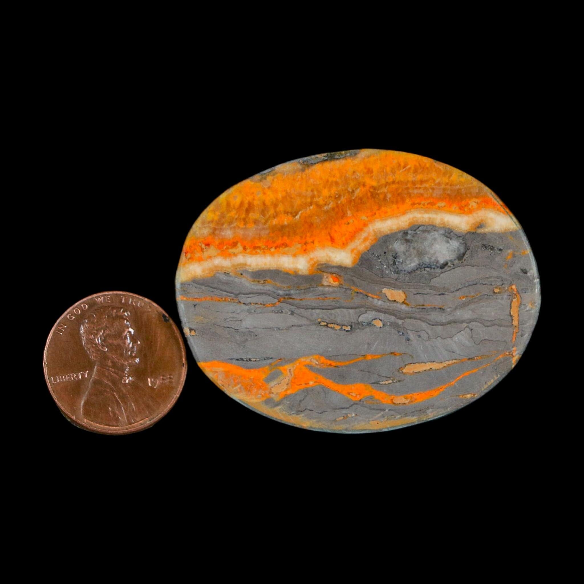 1.9" Bumblebee Jasper Natural Polished Mineral Palm Stone Java Indonesia - Fossil Age Minerals