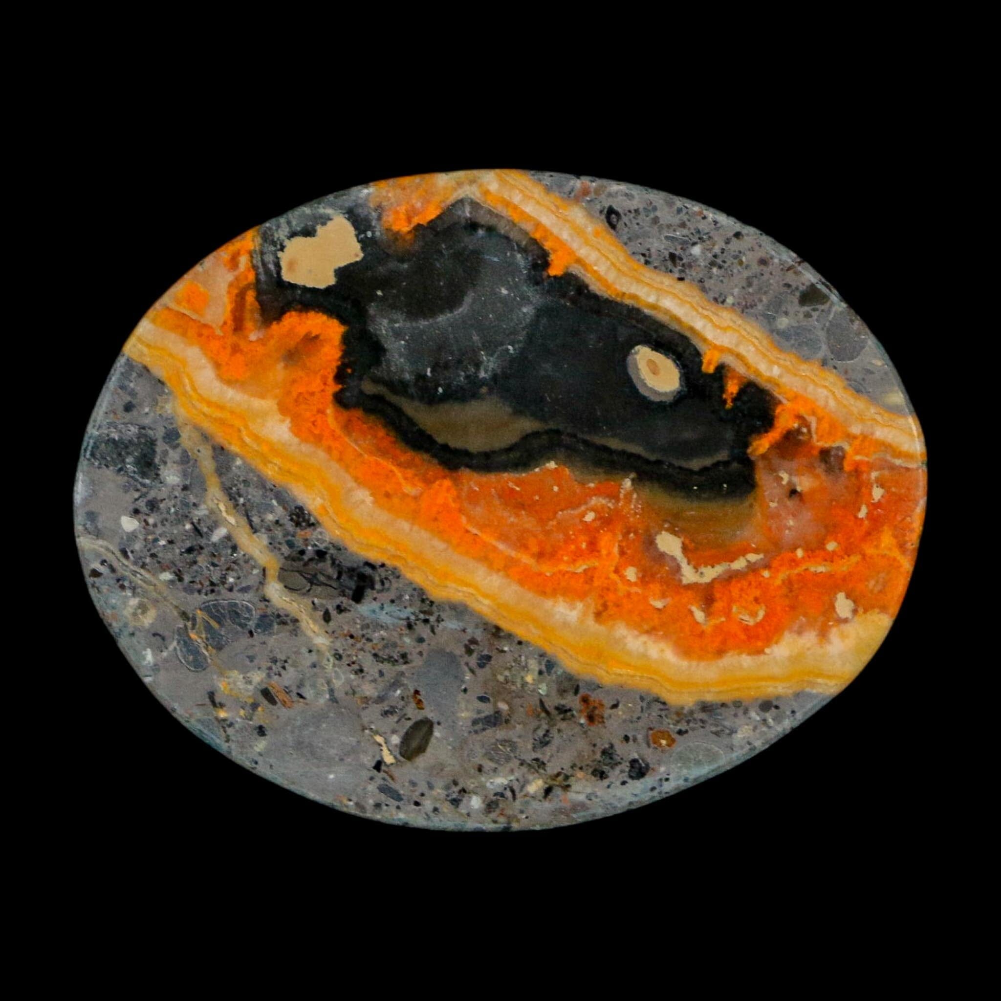 1.8" Bumblebee Jasper Natural Polished Mineral Palm Stone Java Indonesia - Fossil Age Minerals