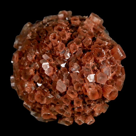 2" Aragonite Mineral Red Crystal Cluster Specimen Tazouta Morocco