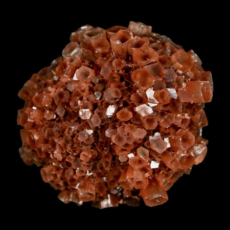 2" Aragonite Mineral Red Crystal Cluster Specimen Tazouta Morocco