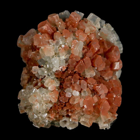 1.8" Aragonite Mineral Two Tone Crystal Cluster Specimen Tazouta Morocco