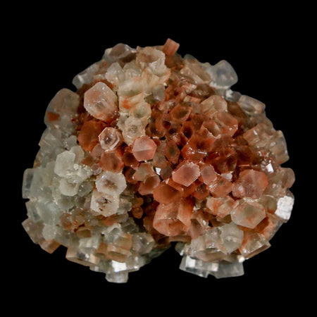 1.7" Aragonite Mineral Two Tone Crystal Cluster Specimen Tazouta Morocco