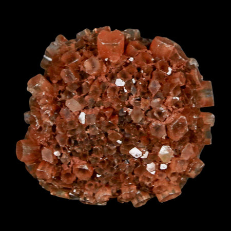 1.7" Aragonite Mineral Red Crystal Cluster Specimen Tazouta Morocco