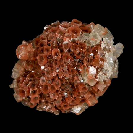 2.4" Aragonite Mineral Two Tone Crystal Cluster Specimen Tazouta Morocco