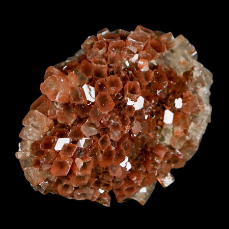 2.4" Aragonite Mineral Two Tone Crystal Cluster Specimen Tazouta Morocco