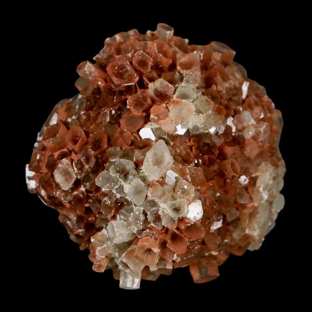 2.1" Aragonite Mineral Two Tone Crystal Cluster Specimen Tazouta Morocco