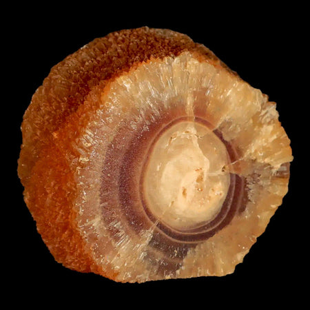 2.5" Natural Cut Rough Cave Honey Calcite Crystal Mineral Specimen Morocco