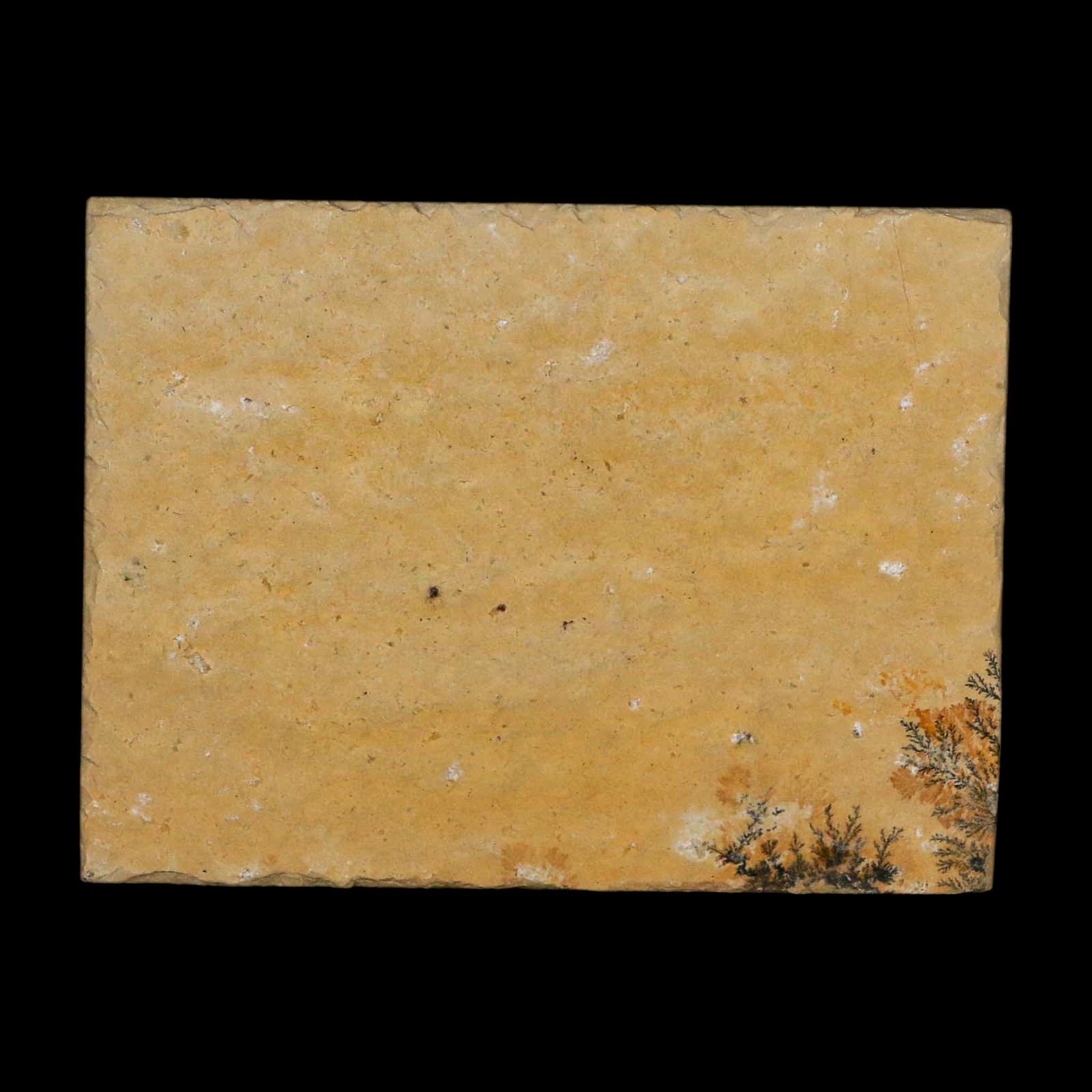 3.1" Pyrolusite Dendritic Limestone Solnhofen Upper Jurassic Age West Germany - Fossil Age Minerals