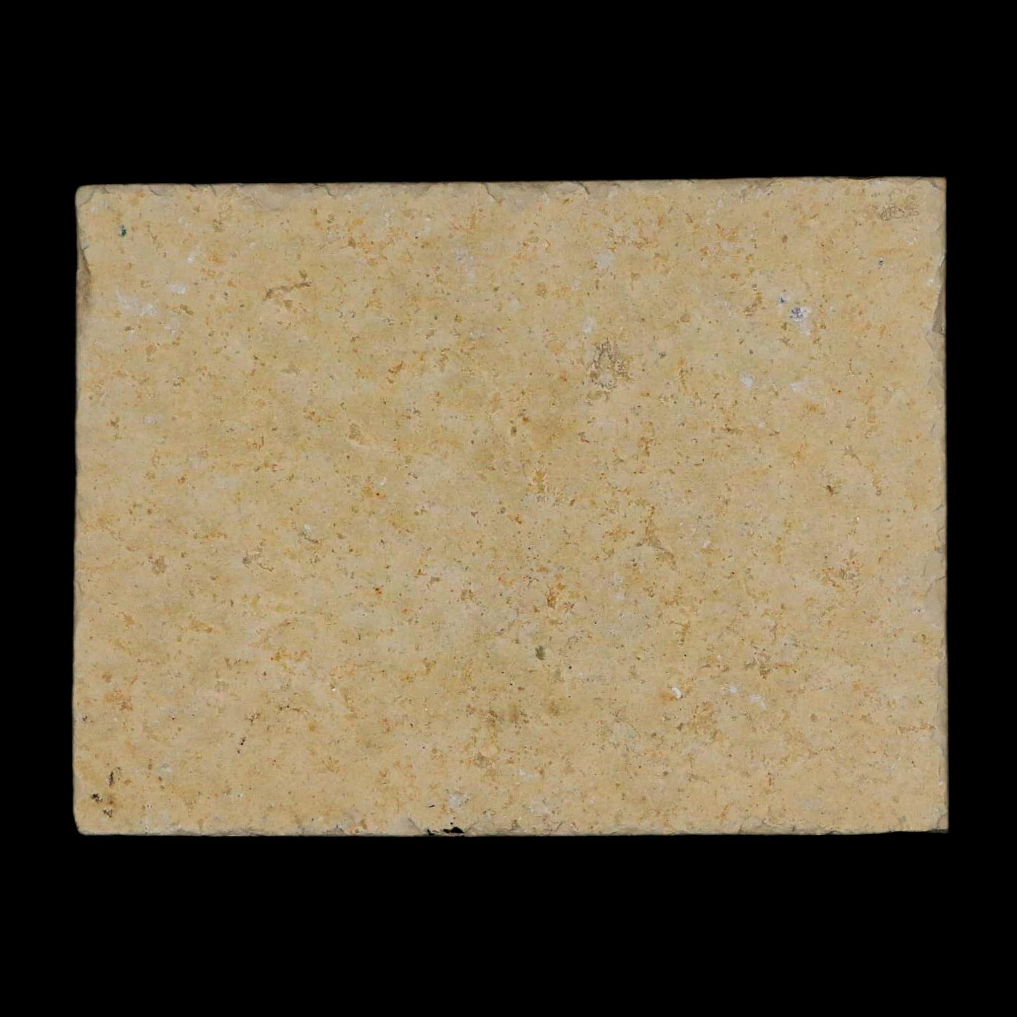 3.1" Pyrolusite Dendritic Limestone Solnhofen Upper Jurassic Age West Germany - Fossil Age Minerals