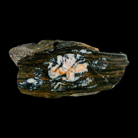 3.3" Rare Andalucite Var Chiastolite Mineral Specimen Asturias Province Boal Spain