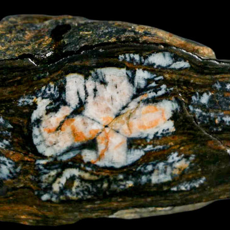 3.3" Rare Andalucite Var Chiastolite Mineral Specimen Asturias Province Boal Spain