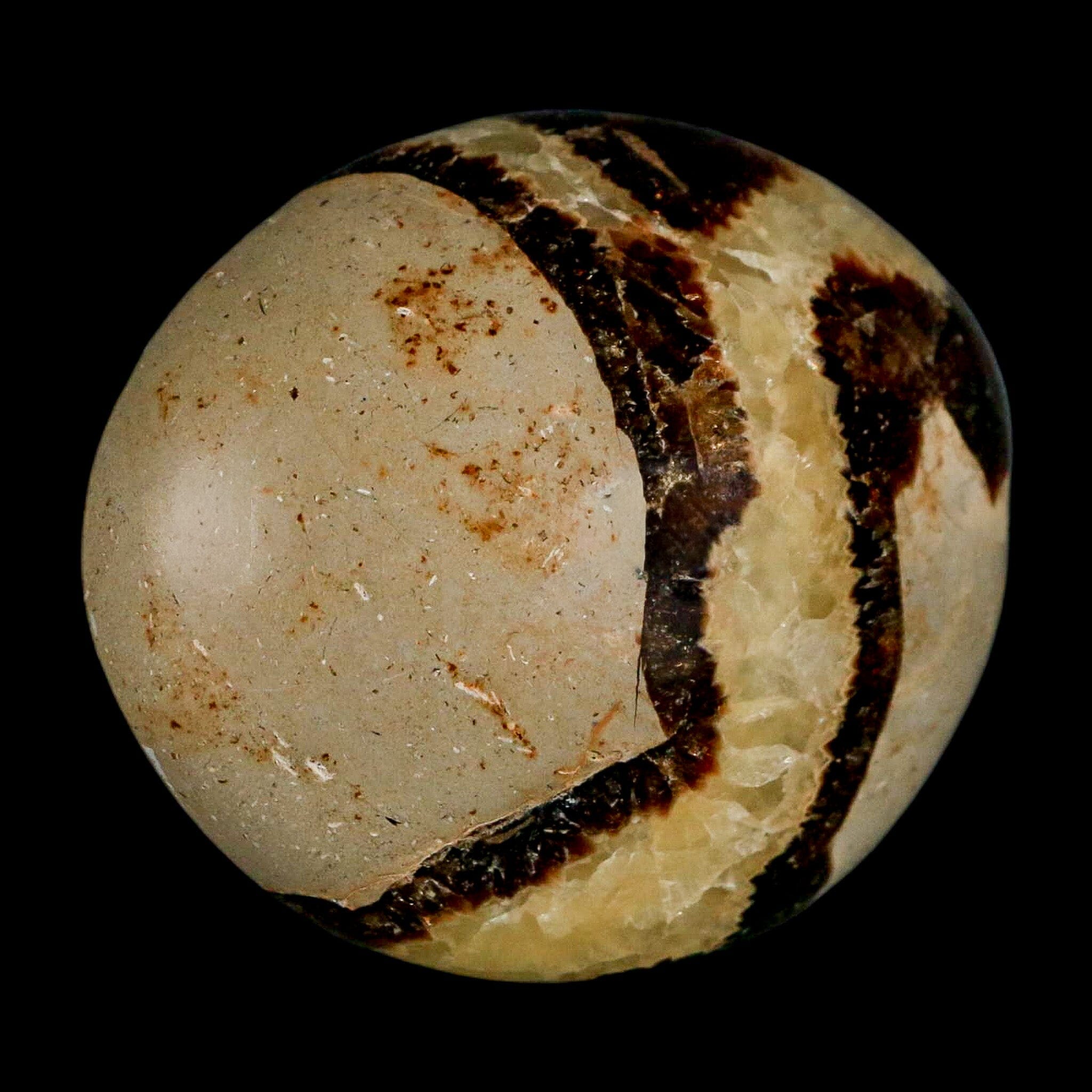 2.2" Septarian Dragon Palm Stone Mineral Specimen Healing Madagascar - Fossil Age Minerals